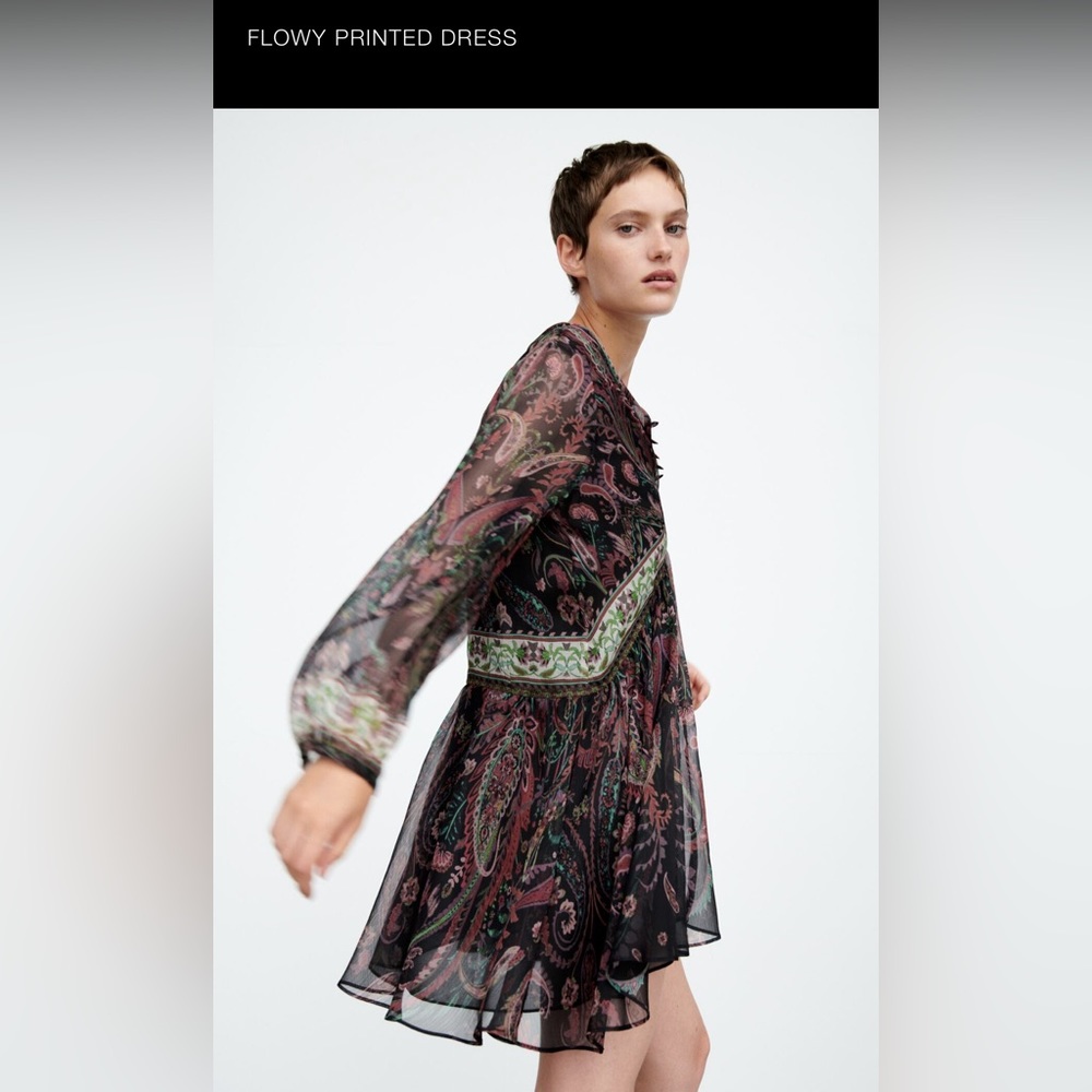 Zara paisley print dress